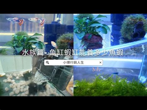 魚缸重量計算|黃國禎: 魚缸計算機